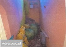 Mieszkanie 2-pokojowe Kiełpiny. Zdjęcie 2