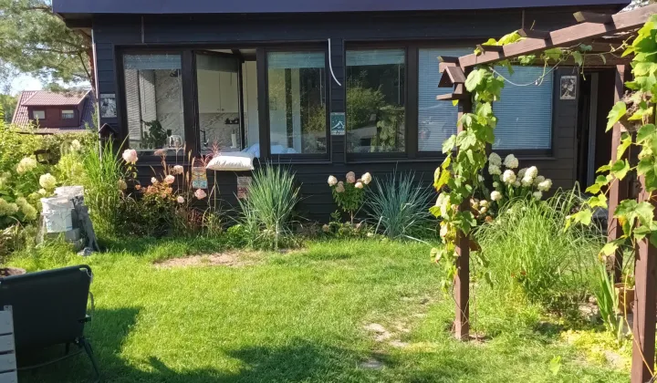 dom letniskowy, 4 pokoje Sosny