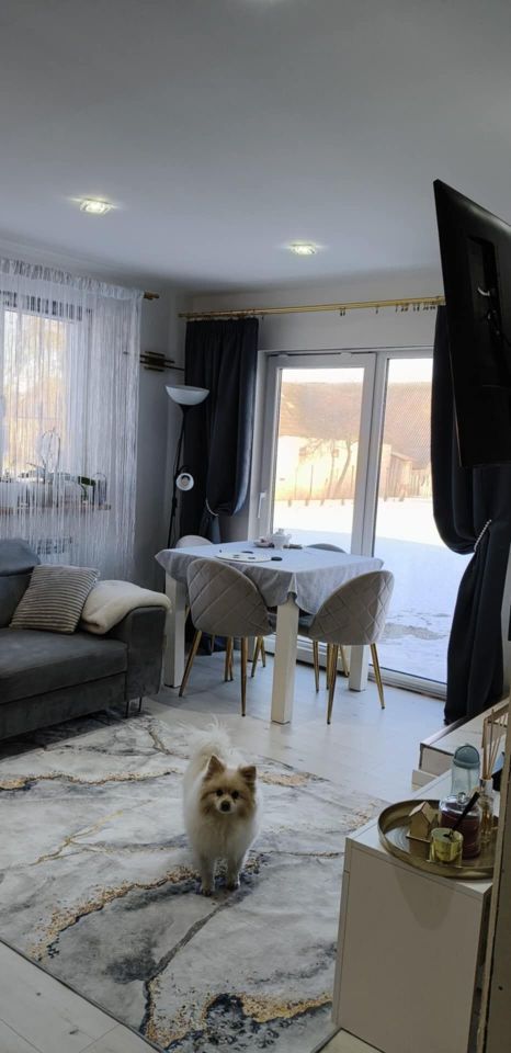 siedlisko Rogawka. Zdjęcie 4