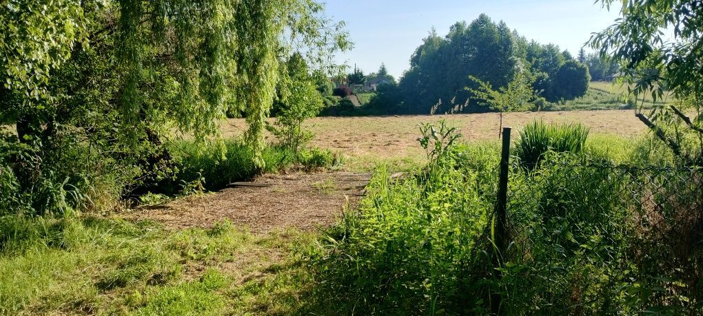 Działka rolna Strzeszkowice Duże. Zdjęcie 6