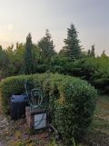 Działka rod Inowrocław, Szosa Bydgoska. Zdjęcie 1
