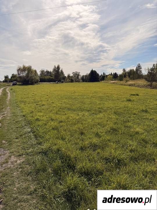 Działka rolno-budowlana Rytwiany. Zdjęcie 3
