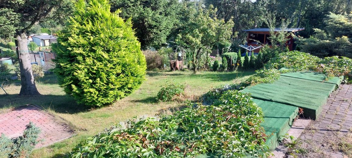 Działka rod Ruda Śląska. Zdjęcie 5