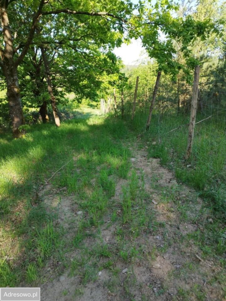 Działka budowlana Nowe Laski. Zdjęcie 4