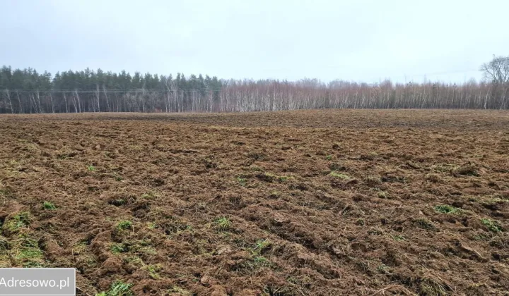 Działka rolna Żuławka