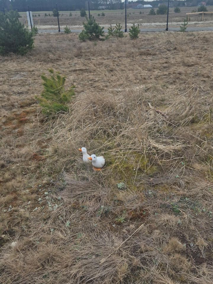 Działka budowlana Okoniny Nadjeziorne. Zdjęcie 4