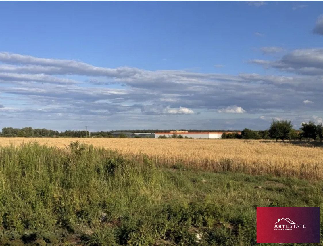 Działka inwestycyjna Natolin. Zdjęcie 3