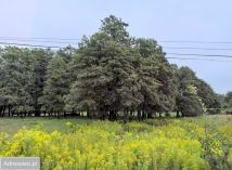 Działka budowlana Warszawa Wilanów, ul. Rosy. Zdjęcie 1