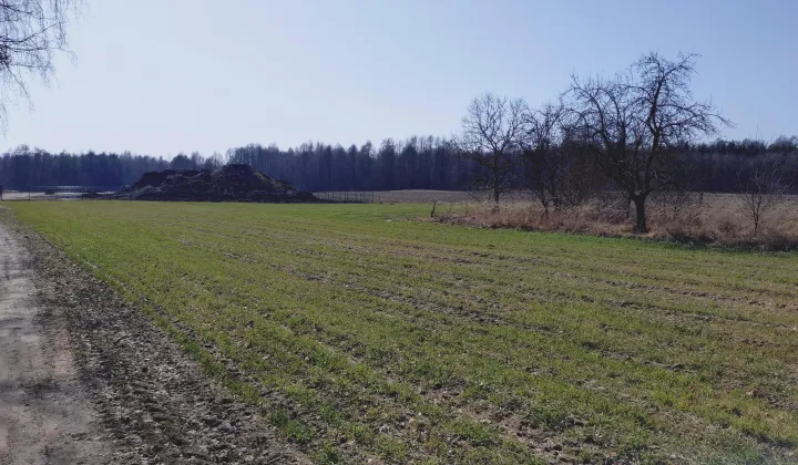Działka budowlana Stara Jedlanka Jedlanka