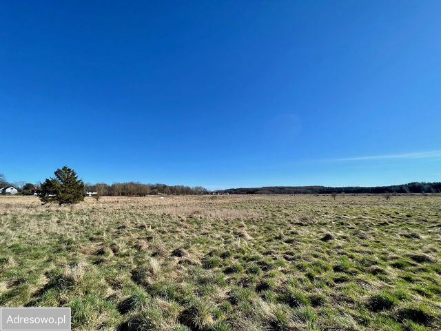 Działka rolna Dębina, ul. Akacjowa. Zdjęcie 1