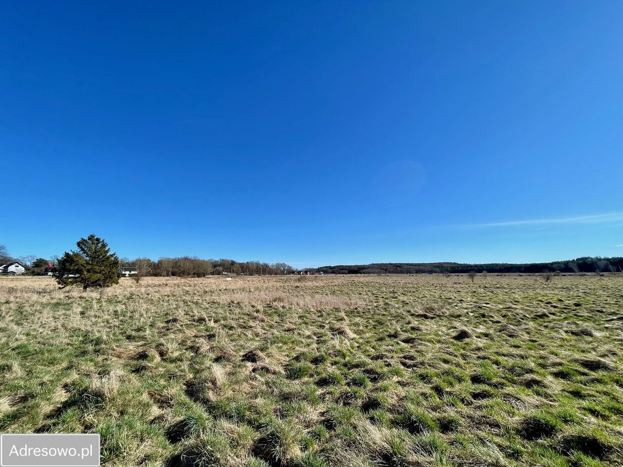 Działka rolna Dębina, ul. Akacjowa