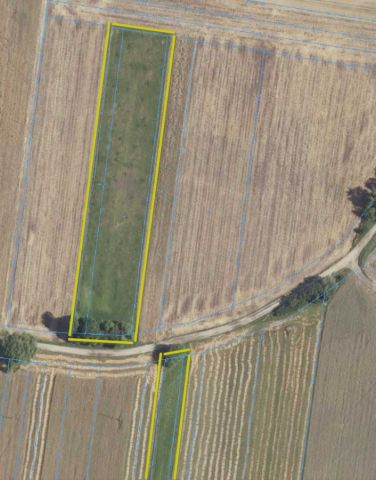 Działka rolna Janów Podlaski. Zdjęcie 1