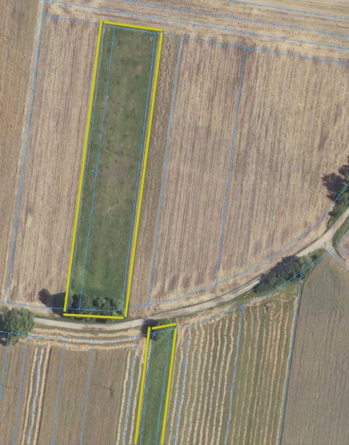 Działka rolna Janów Podlaski