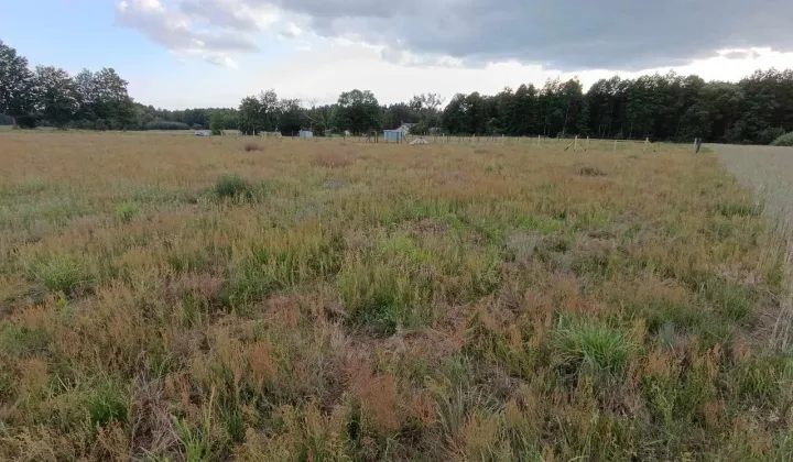 Działka budowlana Rynarzewo, ul. Powstańców Wielkopolskich