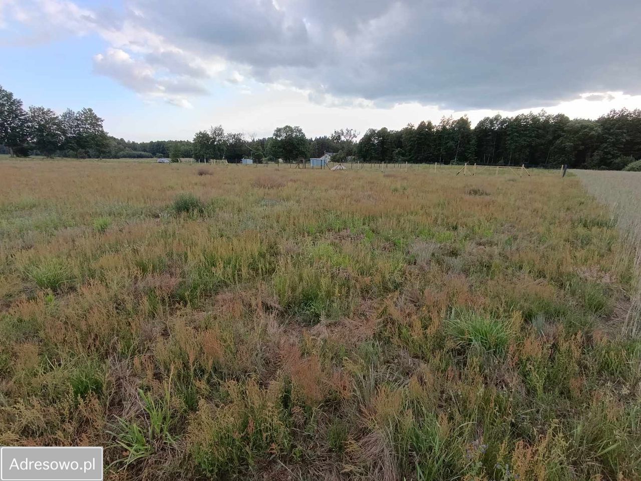 Działka budowlana Rynarzewo, ul. Powstańców Wielkopolskich. Zdjęcie 1