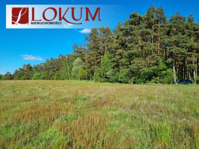 Działka budowlana Lipy. Zdjęcie 13