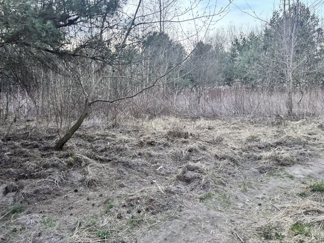 Działka budowlana Konstancin-Jeziorna, ul. Śniadeckich. Zdjęcie 3