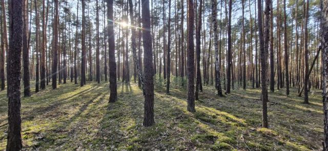 Działka siedliskowa Osiedle Wilga. Zdjęcie 7