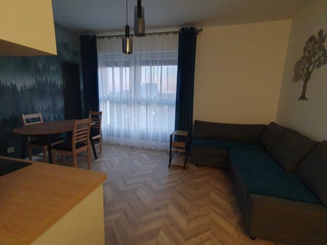 Mieszkanie 1-pokojowe Bydgoszcz, ul. Igrzyskowa. Zdjęcie 1