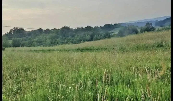 Działka rolna Jankowce