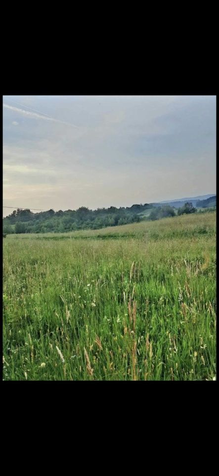 Działka rolna Jankowce. Zdjęcie 1