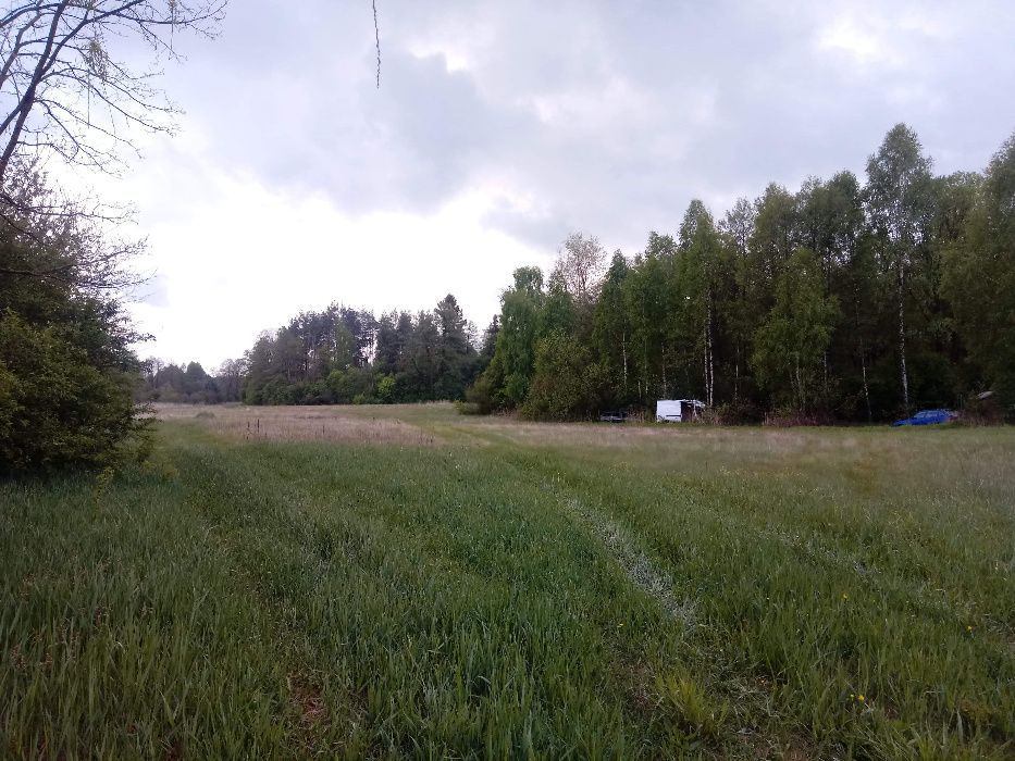 Działka budowlana Ciotusza Stara. Zdjęcie 2