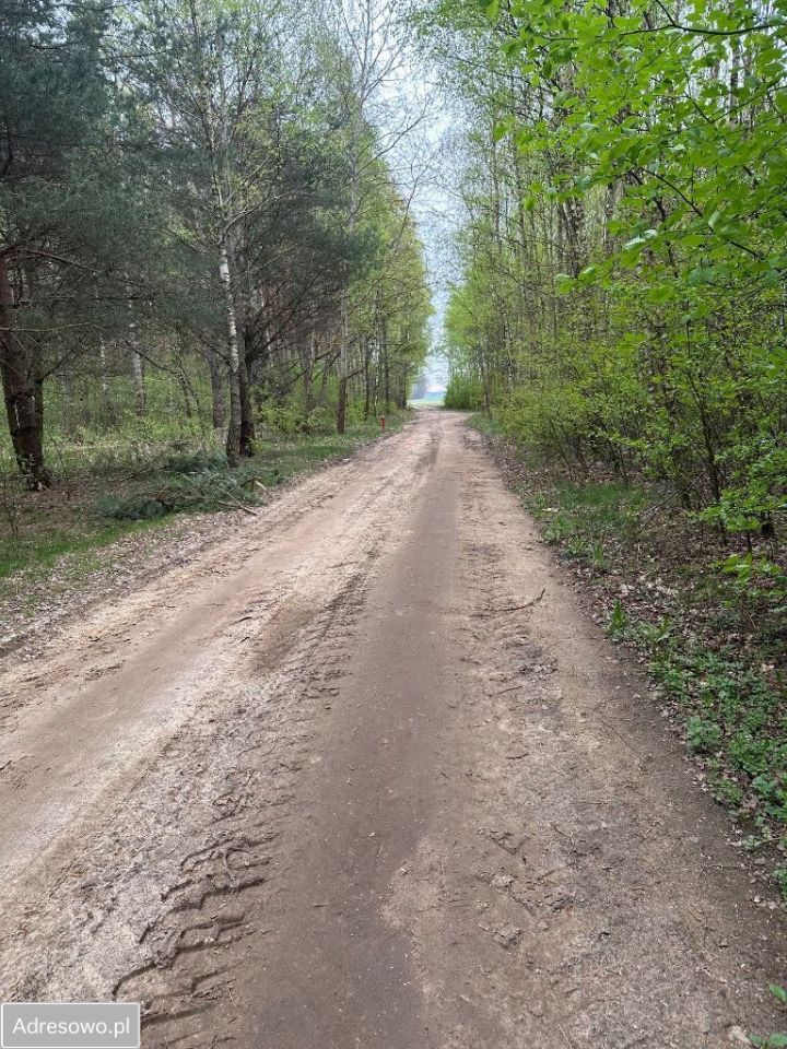 Działka budowlana Górki Duże. Zdjęcie 10