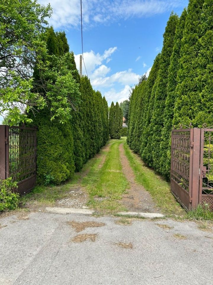 Działka rolna Sokół. Zdjęcie 4