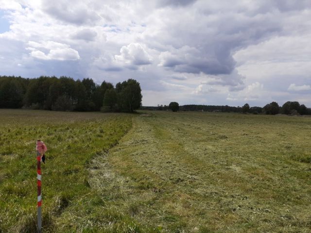 Działka rolno-budowlana Nowe Dąbie. Zdjęcie 1