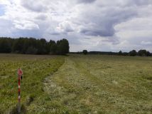 Działka rolno-budowlana Nowe Dąbie