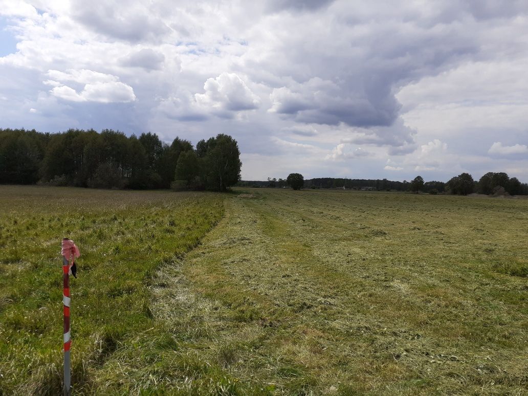 Działka rolno-budowlana Nowe Dąbie