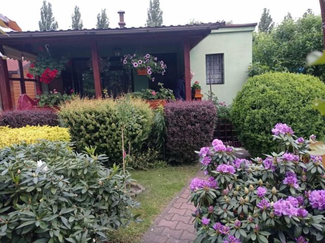 Działka rod Tychy, ul. Świerczyniecka. Zdjęcie 1