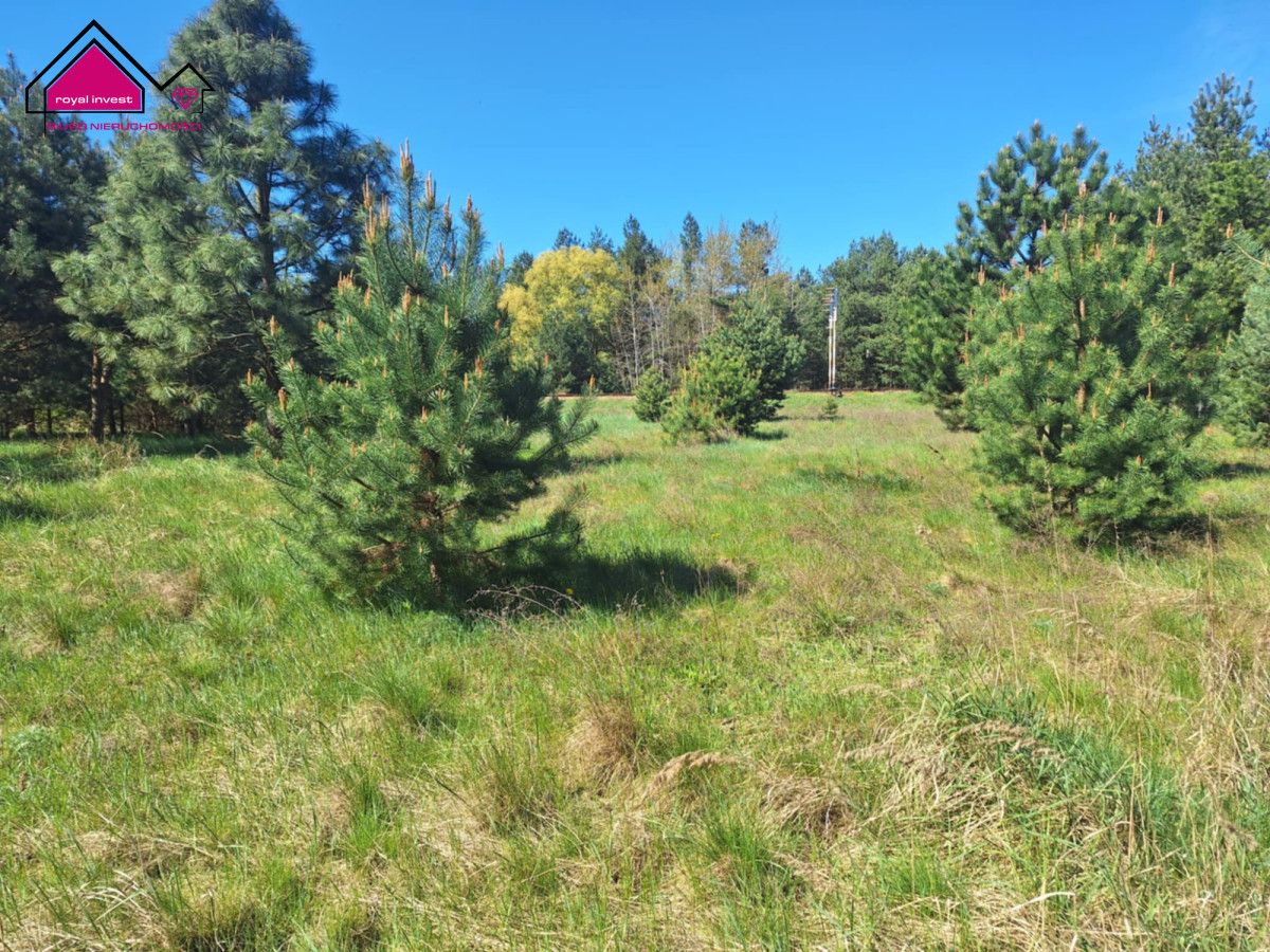 Działka inwestycyjna Wygoda. Zdjęcie 2