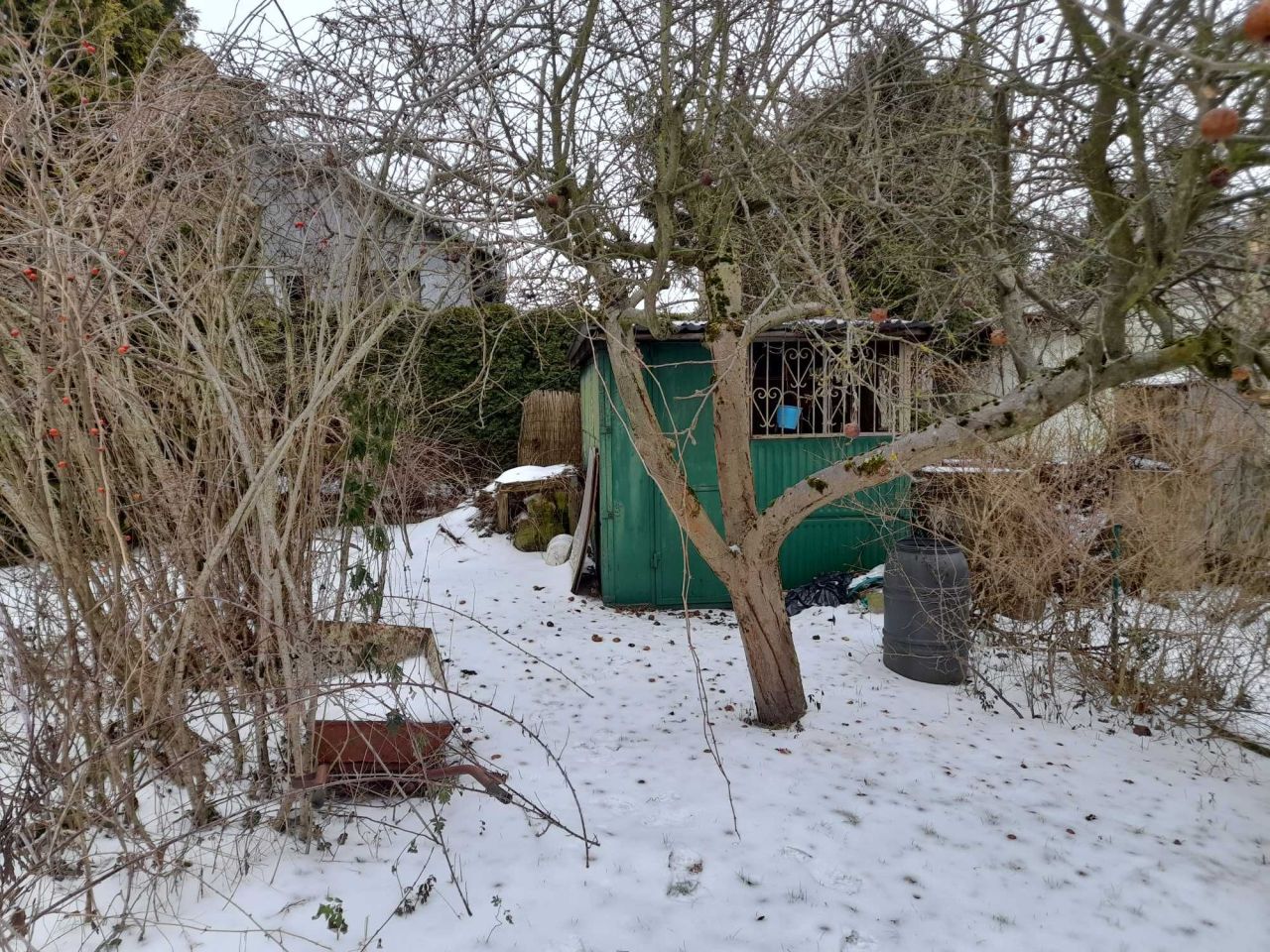 Działka rod Jelonek. Zdjęcie 6