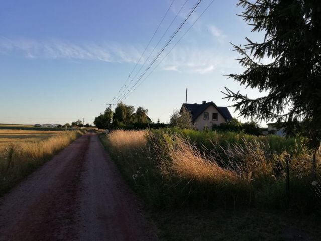 Działka rolno-budowlana Śmigiel. Zdjęcie 1