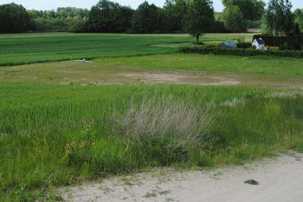 Działka inna Wiekowo. Zdjęcie 3