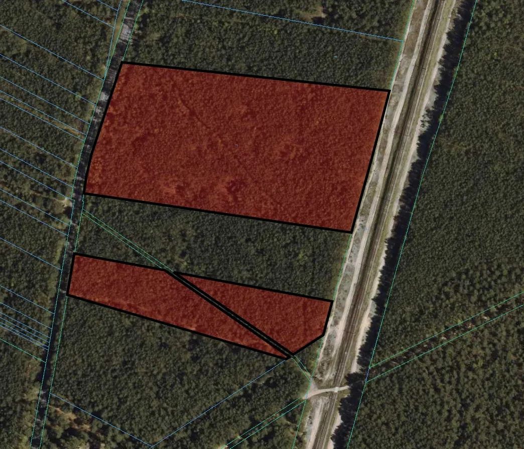 Działka leśna Stare Bosewo. Zdjęcie 7