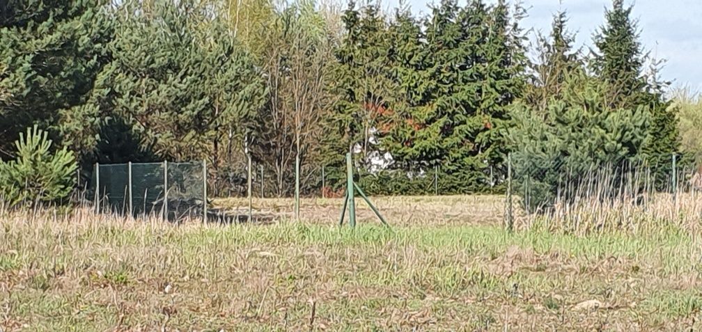 Działka budowlana Ciechocinek. Zdjęcie 2