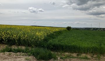 Działka rolna Olchowiec