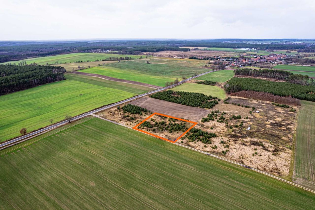Działka rolna Borów. Zdjęcie 5