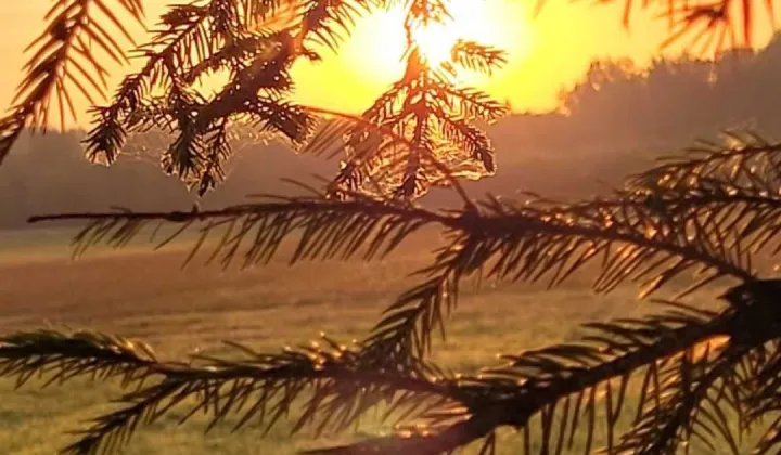 Działka budowlana Wasilkowo