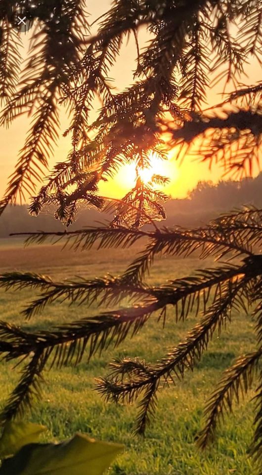 Działka budowlana Wasilkowo. Zdjęcie 1