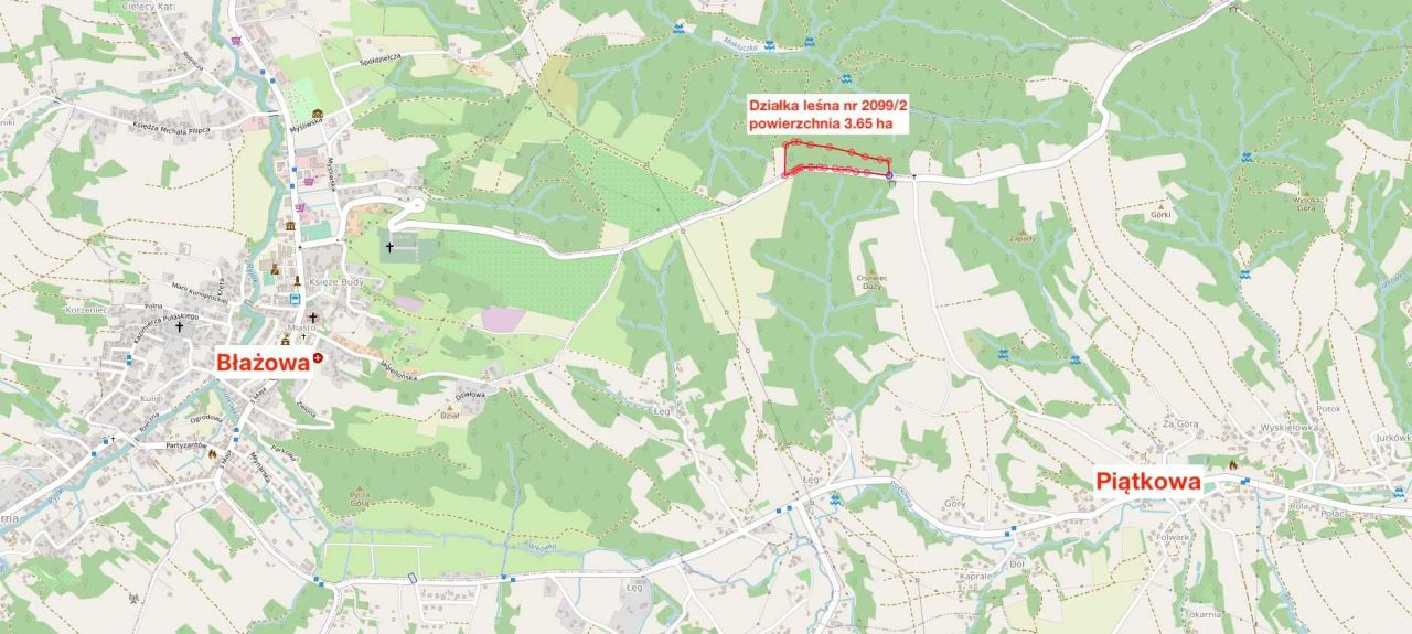 Działka leśna Błażowa. Zdjęcie 2