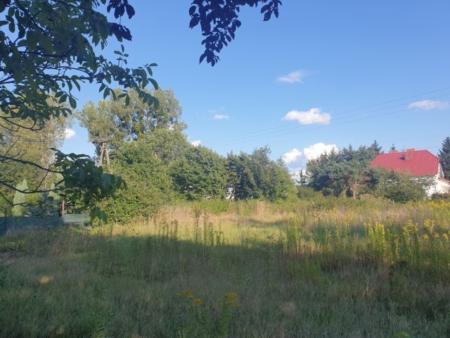 Działka budowlana Święta Katarzyna. Zdjęcie 6