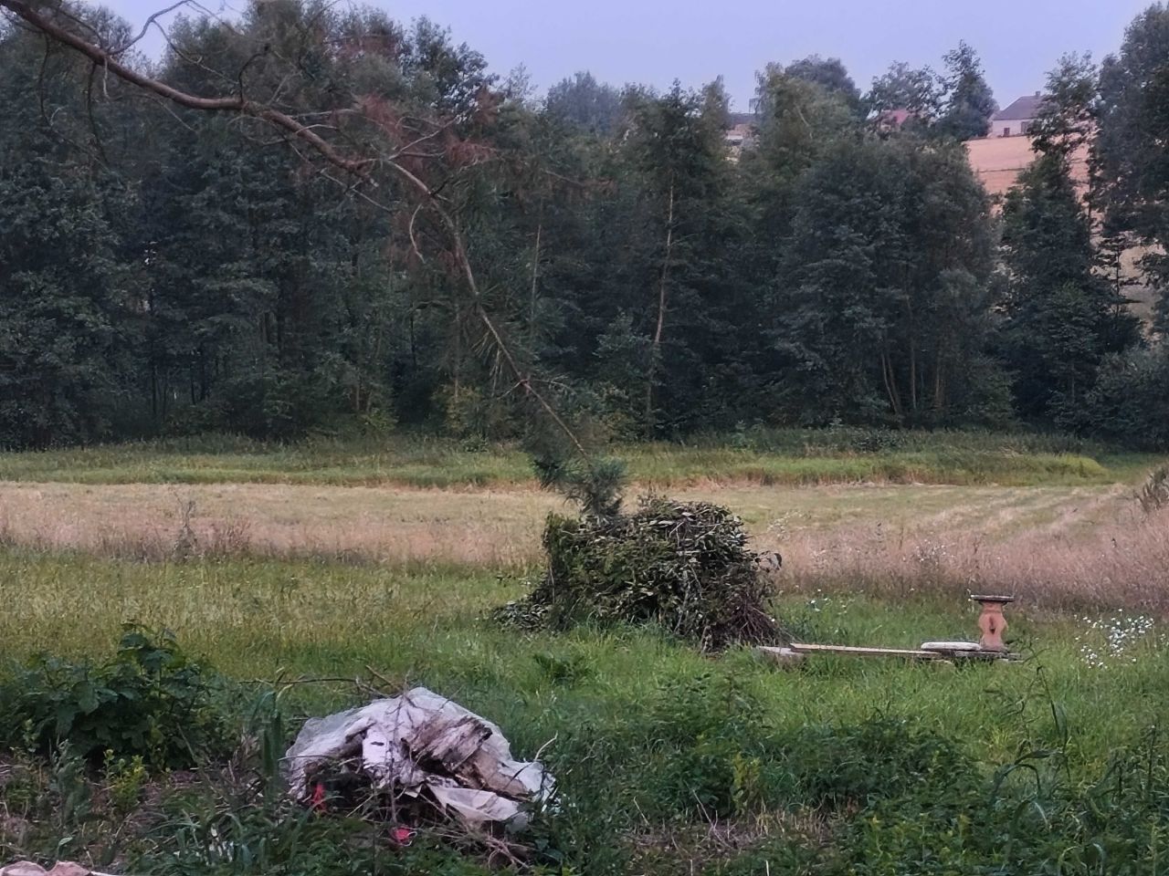 Działka rolna Momina. Zdjęcie 6