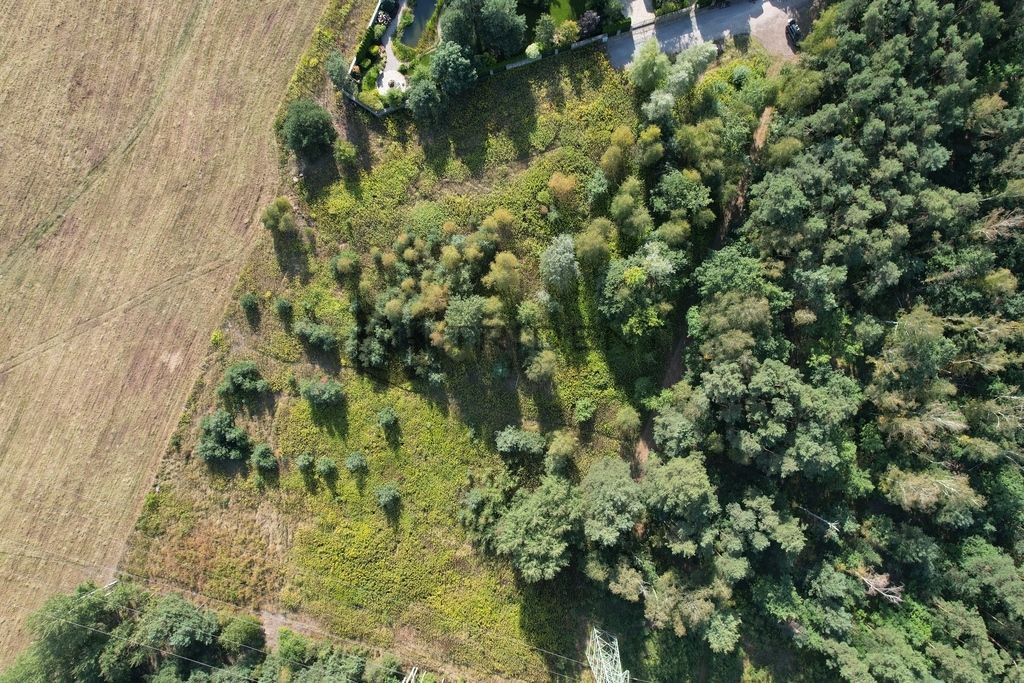 Działka budowlana Władysławów. Zdjęcie 5