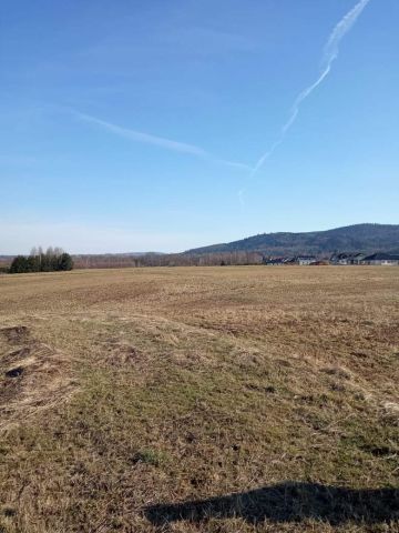 Działka budowlana Klecza Dolna Pniaki. Zdjęcie 1