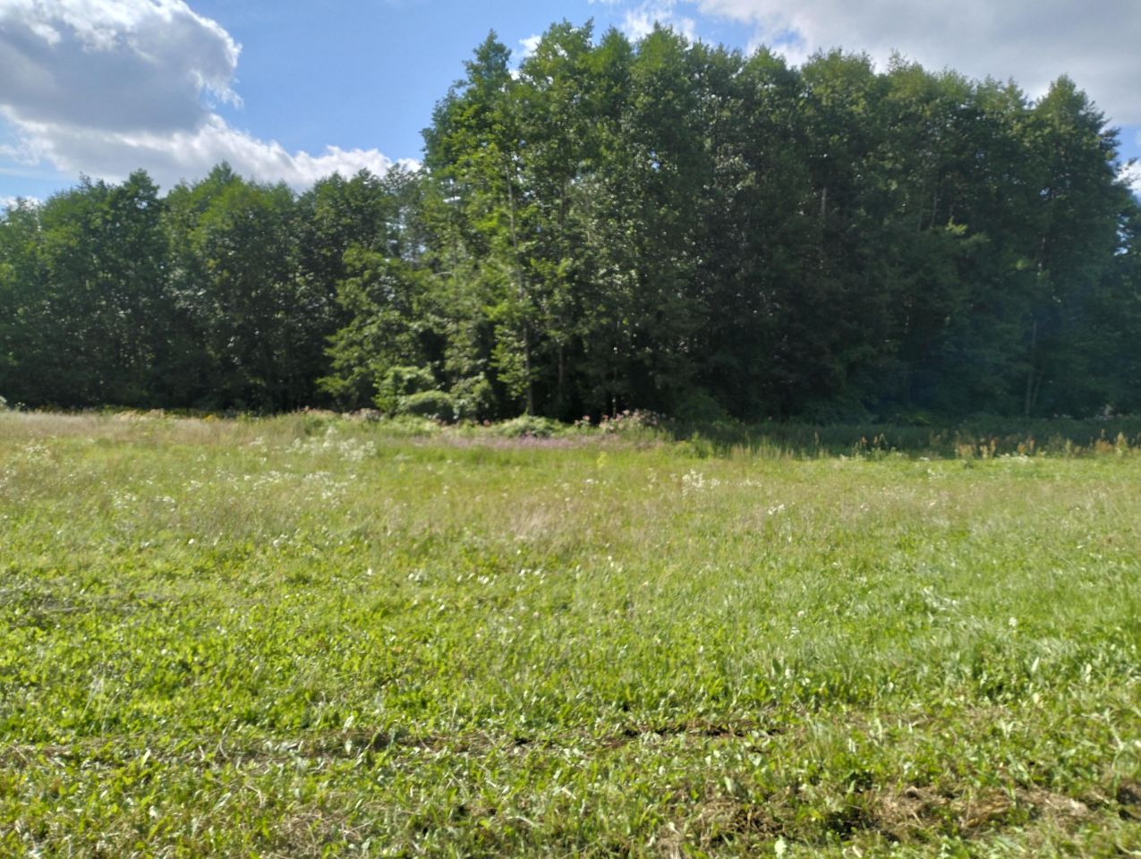 Działka budowlana Kłóbka. Zdjęcie 5