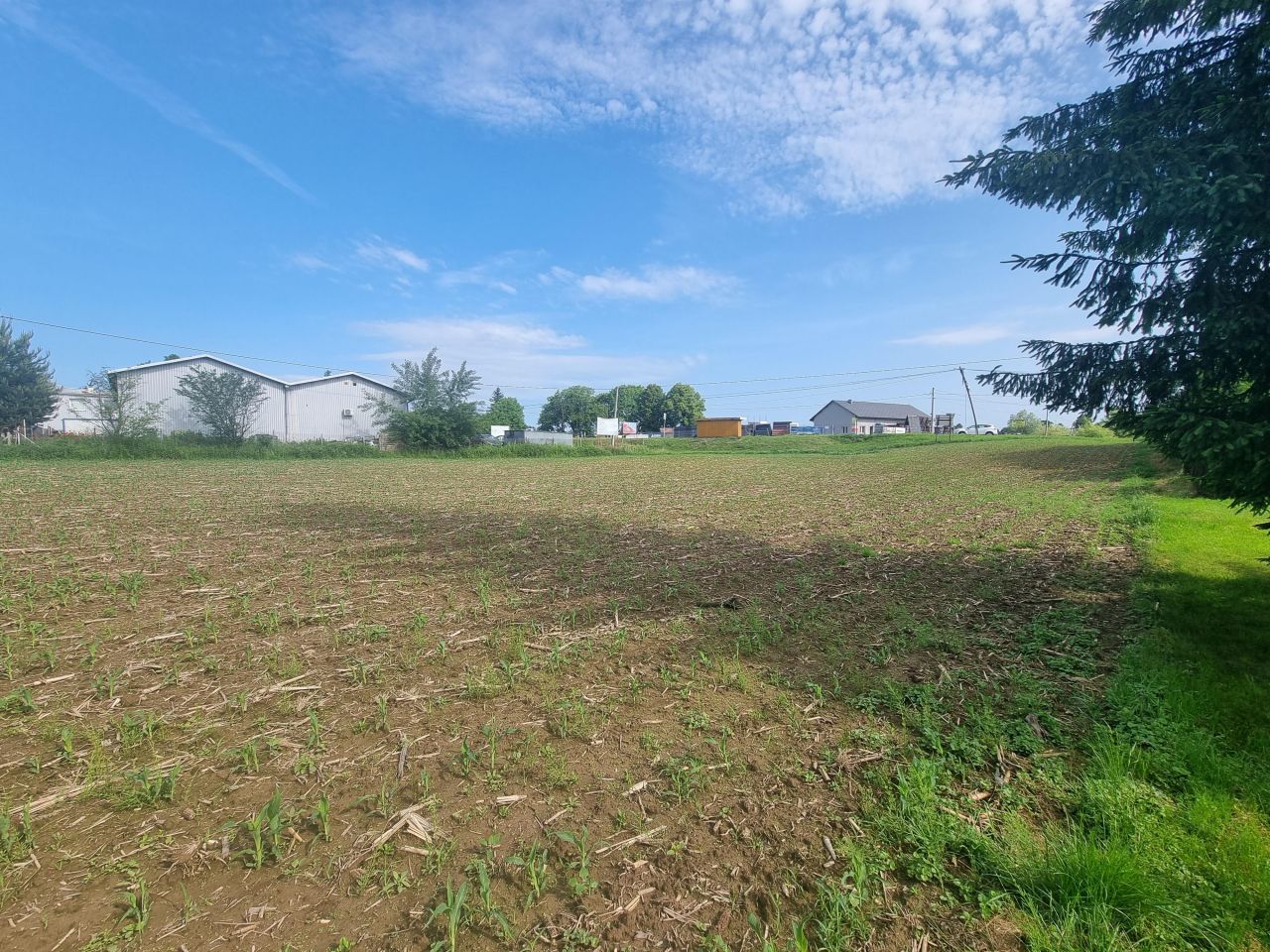 Działka inwestycyjna Jastrzębie-Zdrój Bzie Górne, ul. Pszczyńska. Zdjęcie 8