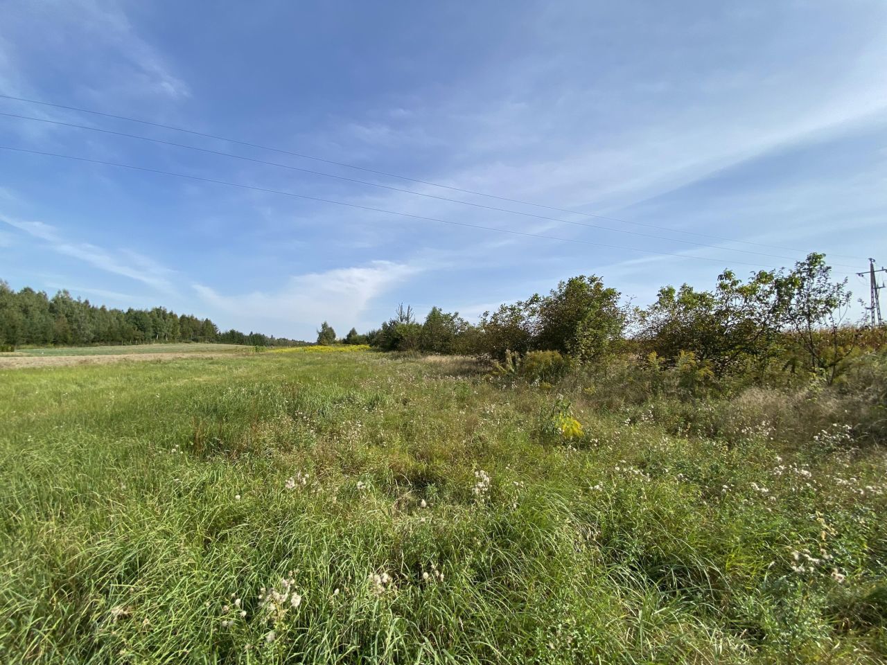 Działka budowlana Tywonia. Zdjęcie 4